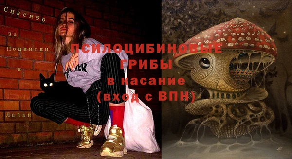 кокс Абаза