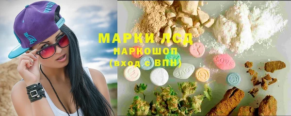 винт Алексин